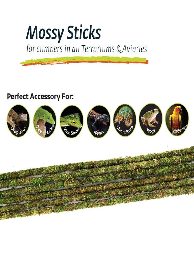 Galapagos Galápagos (05322) Mossy Terrarium Sticks (6 Pack), 32" - Image 5